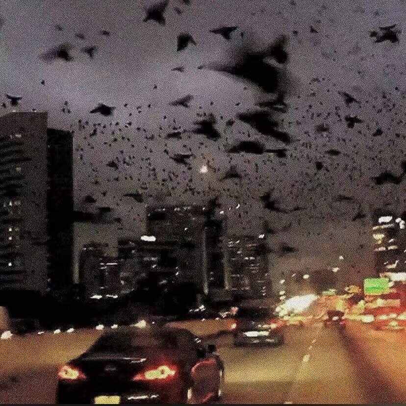 Zafrir - TARE (Original Mix) 