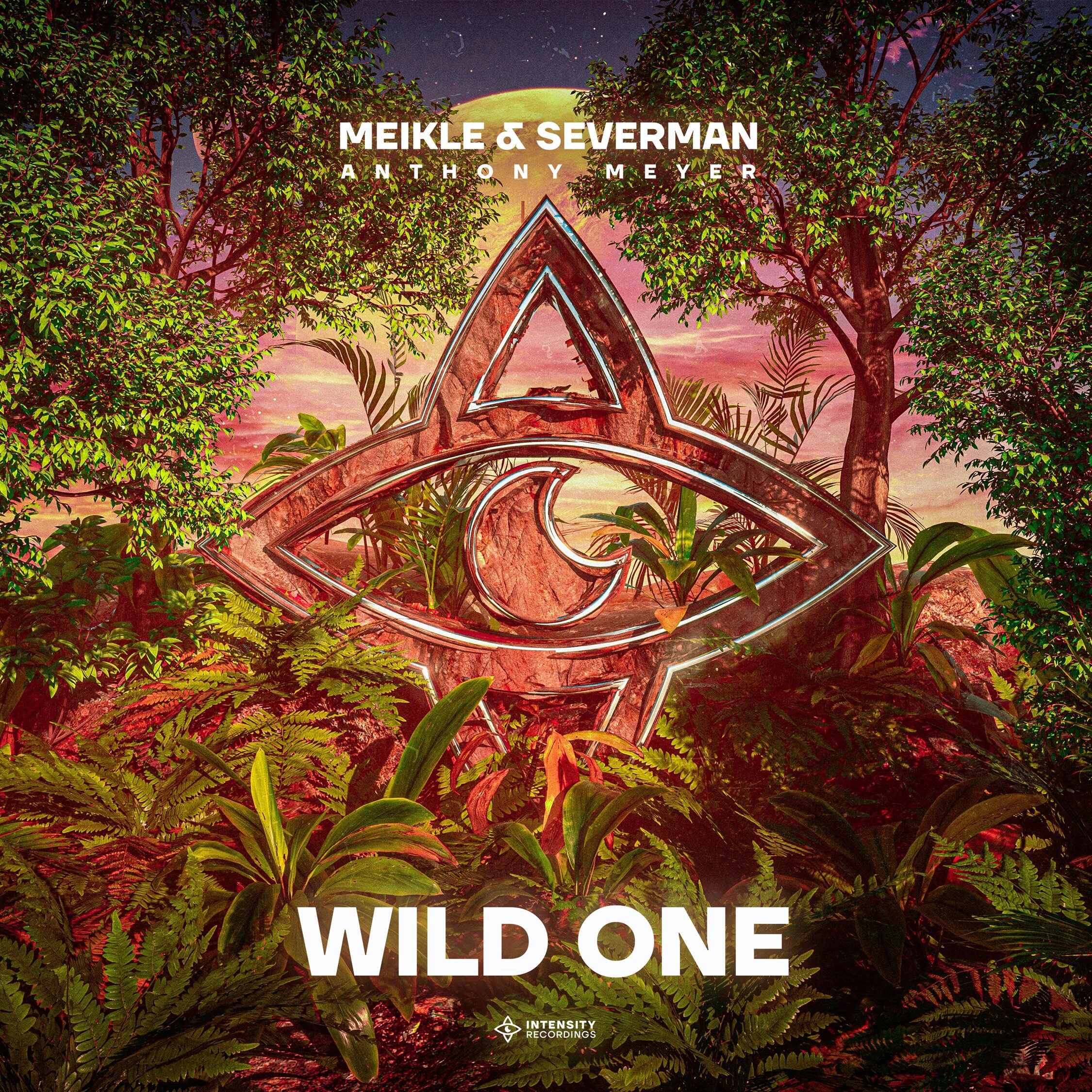 Meikle  Severman feat Anthony Meyer - Wild One (Extended Mix) 