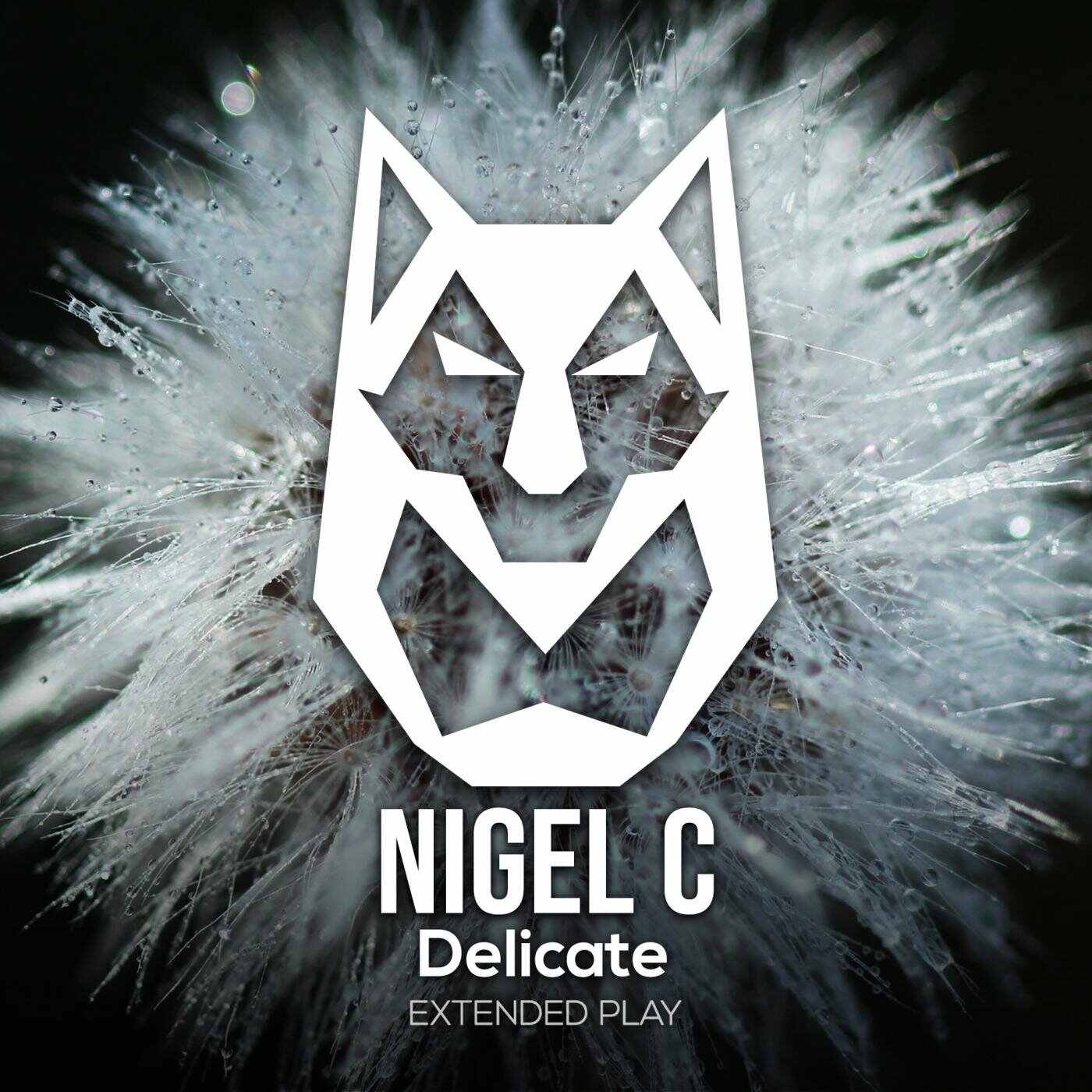 Tullio - Friday (Original Mix) 