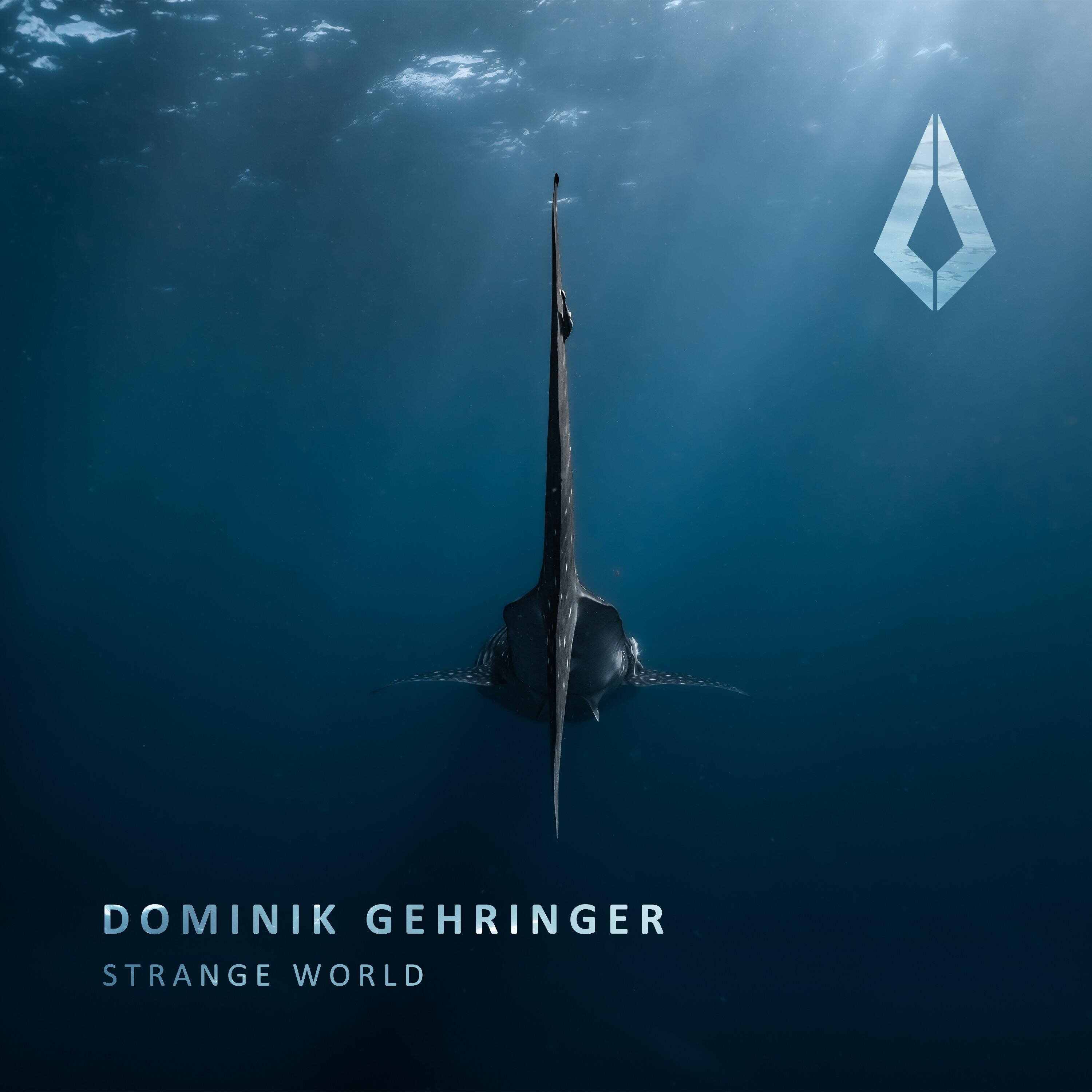 Dominik Gehringer - Strange World (Extended Mix) 