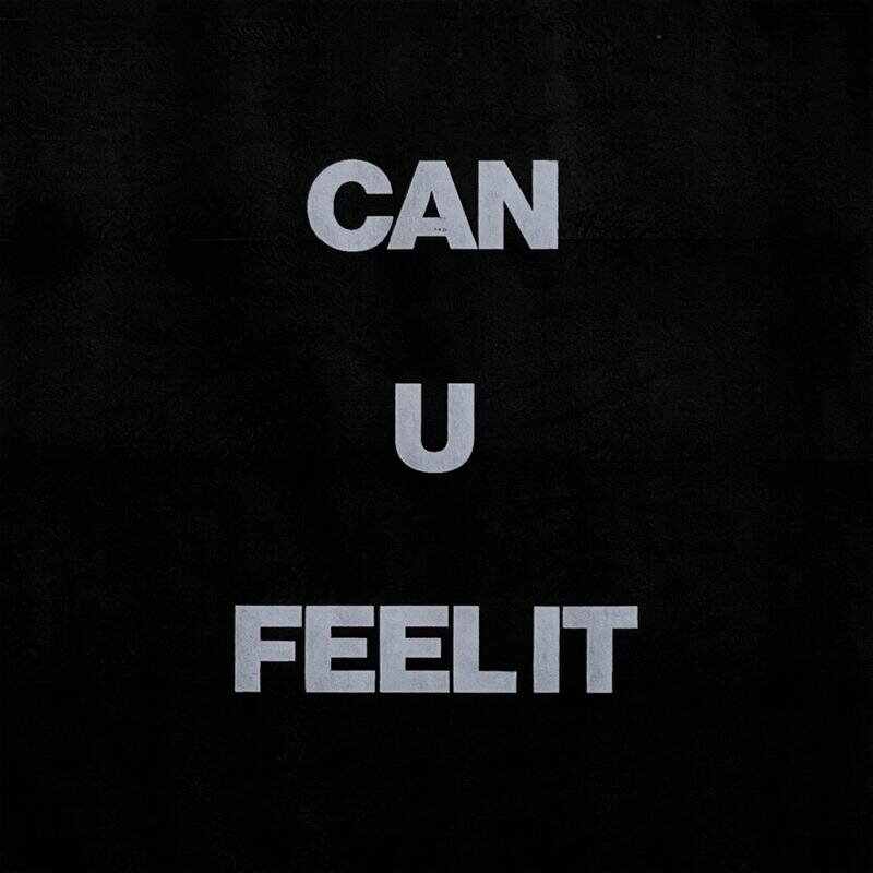 Swedish House Mafia vs John Newman - Can You Feel It X Love Me Again (TripL Mashup) 