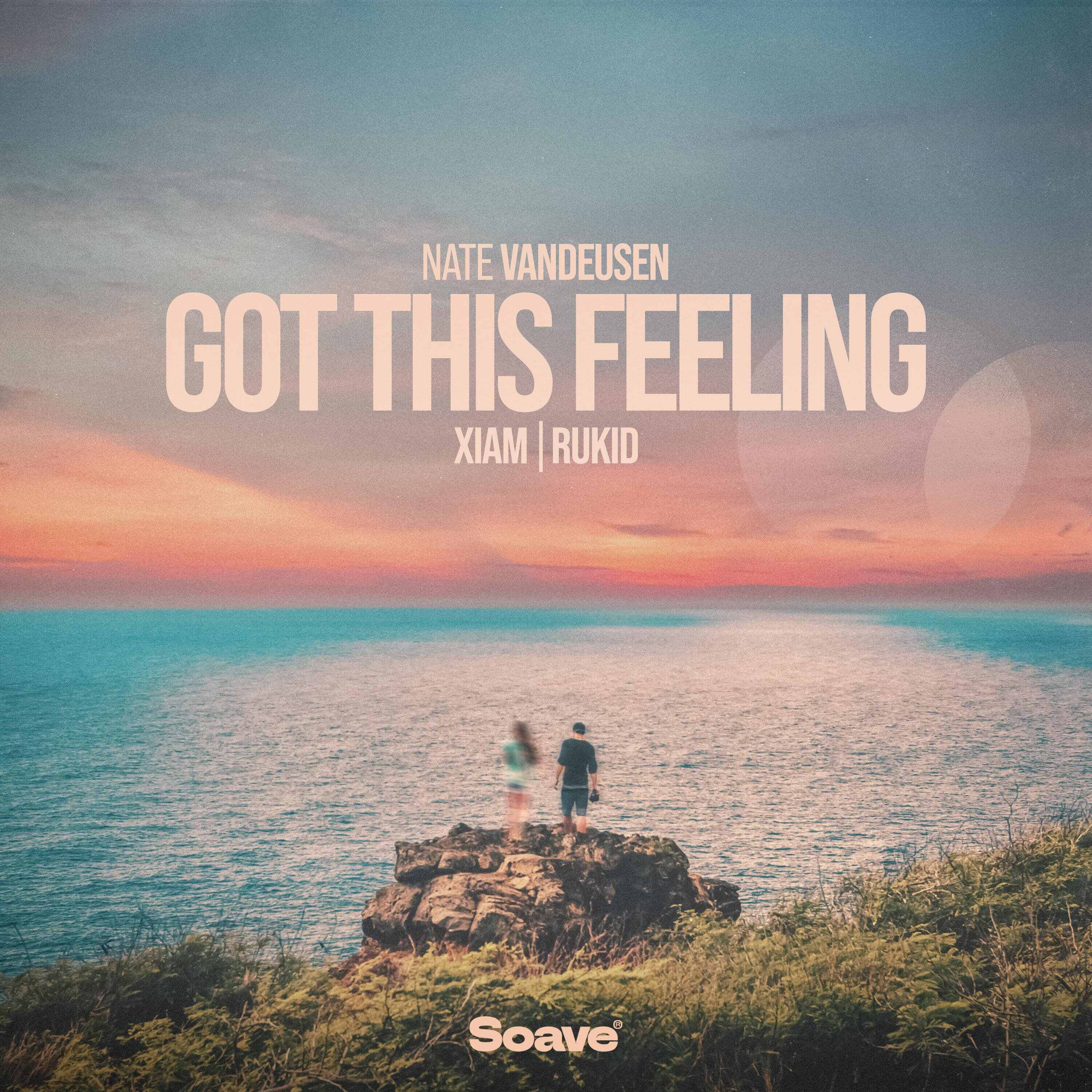 Nate VanDeusen, Xiam  Rukid - Got This Feeling (Original Mix) 