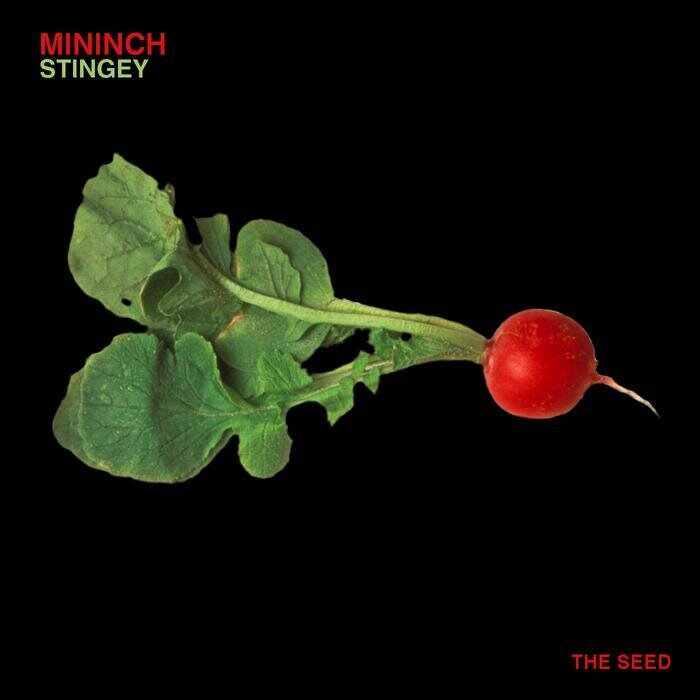 Teko - Claro (Original Mix) 