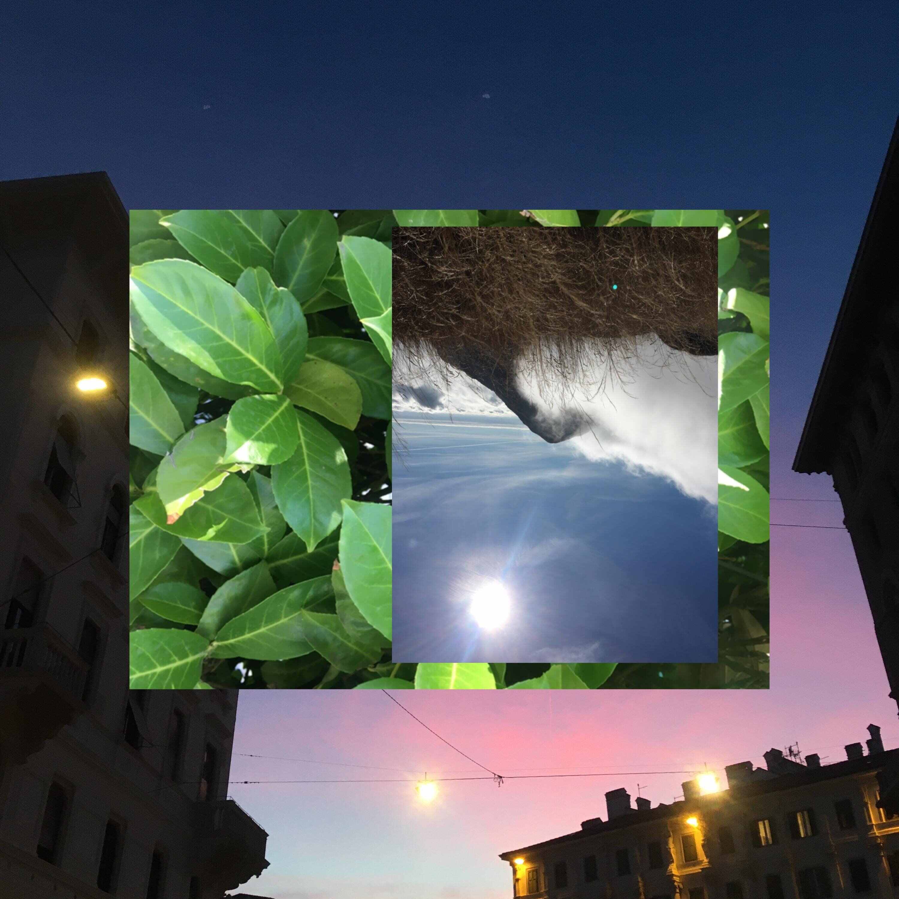 阿YueYue - 冬眠（2023）(FarAty,Kis Bootleg)