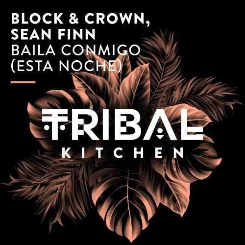 Block  Crown  Sean Finn - Baila Conmigo (Esta Noche) (Extended Mix) 