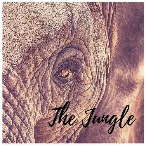 Low Disco - The Jungle (Original Mix) 