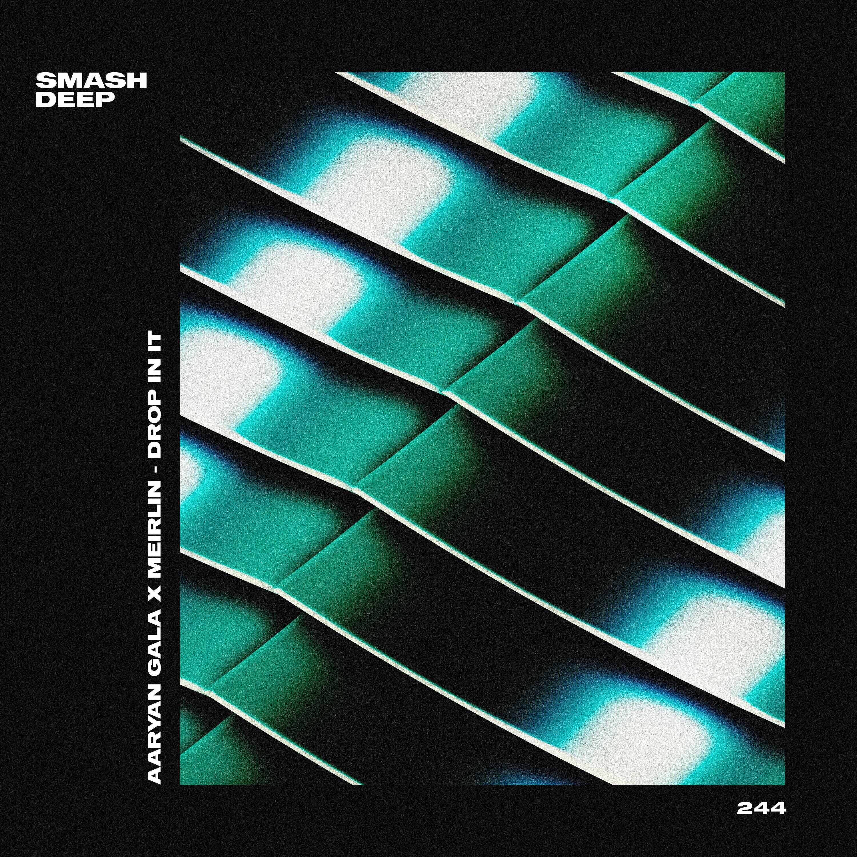 Aaryan Gala x Meirlin - Drop In It (Extended Mix) 