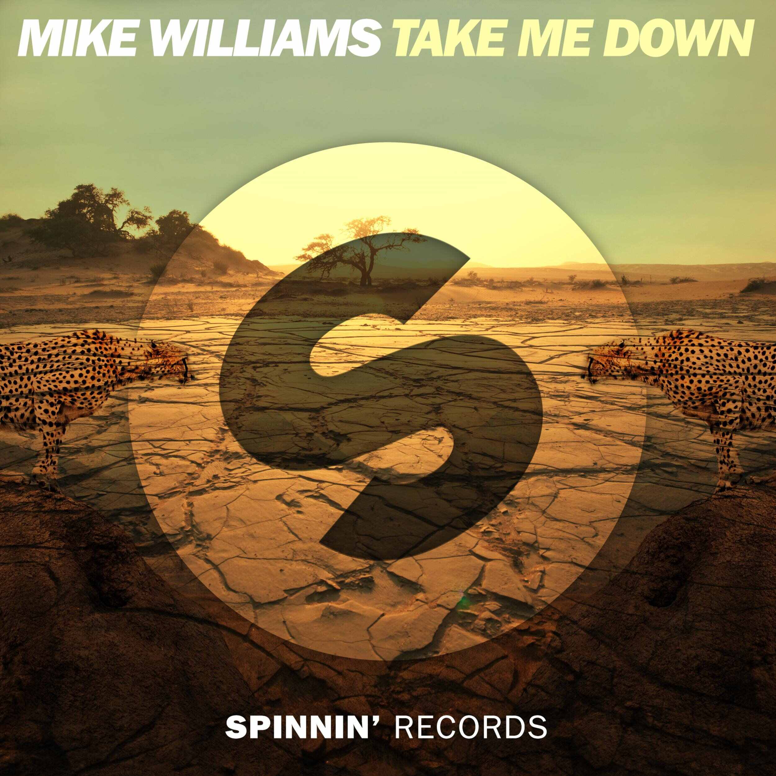 Mike Williams - Could It Be Love (Extended Mix) 