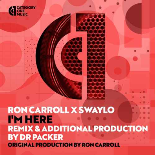 Ron Carroll  Swaylo - Im Here (Dr Packer Extended Remix) 