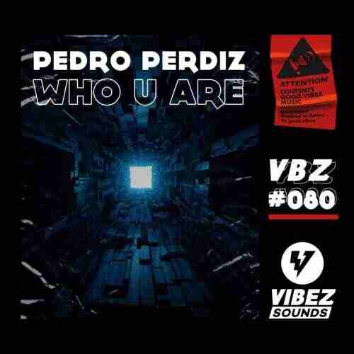 Sendr  Quizzow - Who U Are (Extended Mix) 