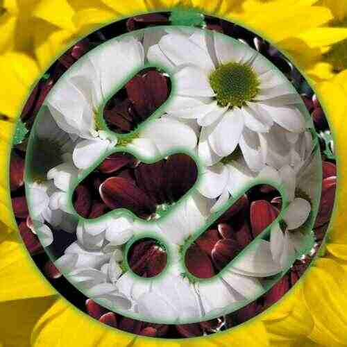 Required  Storah - Do You Understand (Original Mix) 