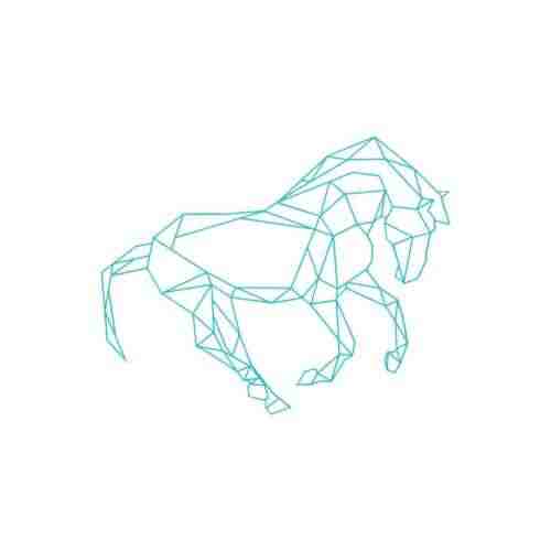 身骑白马徐佳莹(GetRich亚鹏DJ GOG Bootleg)