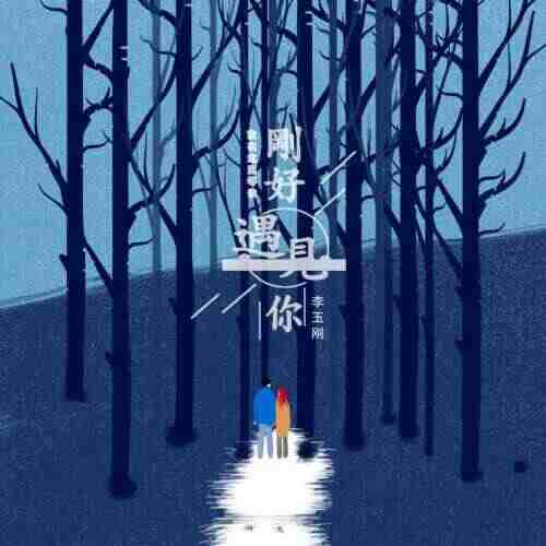 李玉刚  刚好遇见你（小博 SE7EN Bootleg）