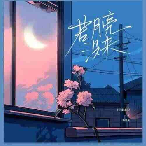 抖音热歌  王宇宙Leto 乔浚丞,若月亮没来 (Ellison Bootleg)