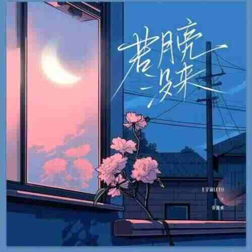 抖音热歌 - 王宇宙Leto 乔浚丞,若月亮没来