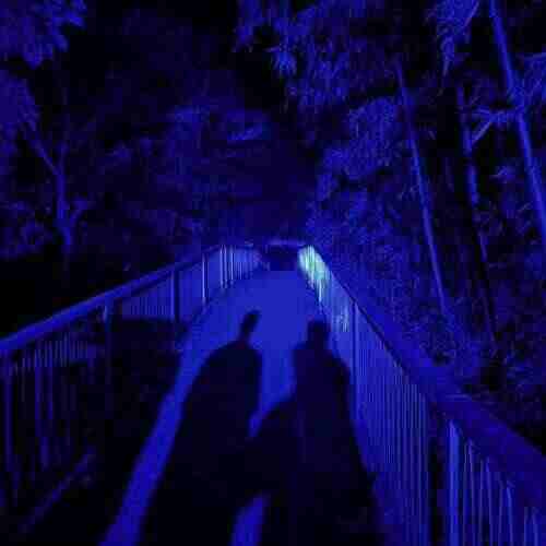 队长,鹿晗 - 影子