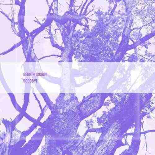 Ephemere  L!LY - Goodbye (Extended Mix) 