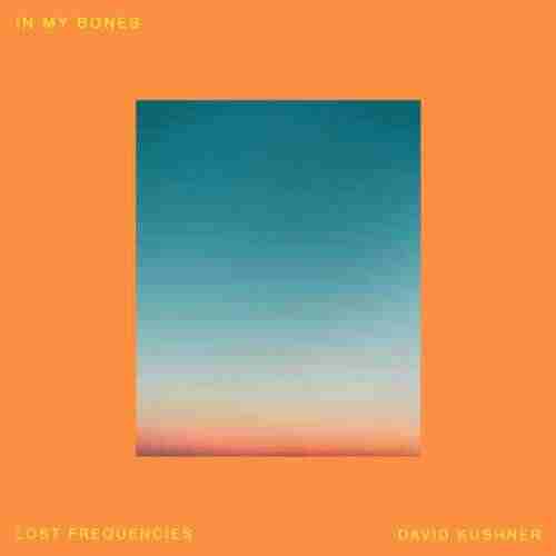 Lost Frequencies  David Kushner - In My Bones (Extended Mix) 