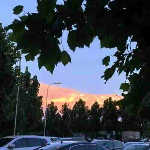 Epic Sax Guy (阿岩Bootleg)