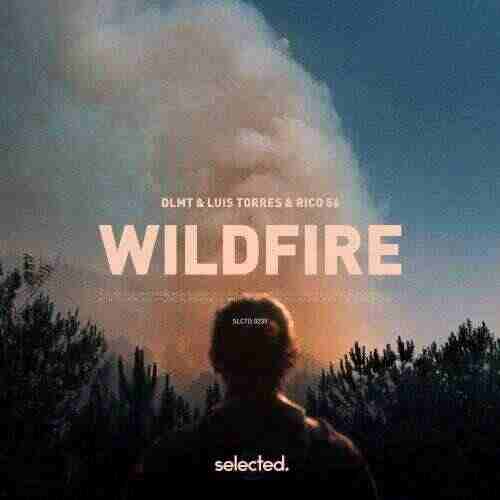 Luis Torres  Rico 56  DLMT - Wildfire (Extended Mix) 