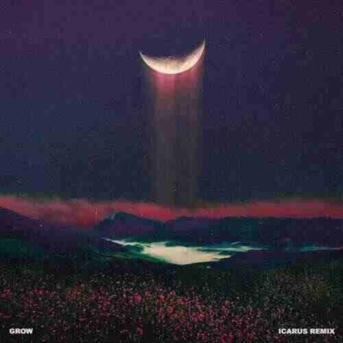 Forester  Icarus - Grow (feat. Wye Oak) (Icarus Remix) 