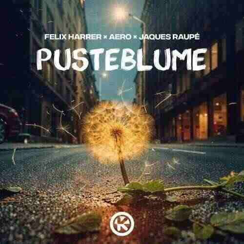 Felix Harrer, AERO  Jaques Raupe - Pusteblume (Extended Mix) 