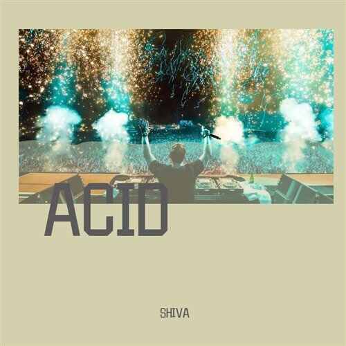 Hardwell - ACID (Summer.Yang Mashup)