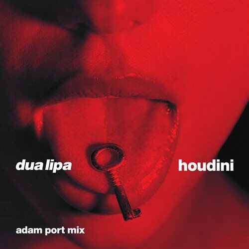 Dua Lipa - Houdini [Erica Dal Remix]