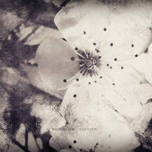 Untold Stories - Promised Lands (Original Mix) 