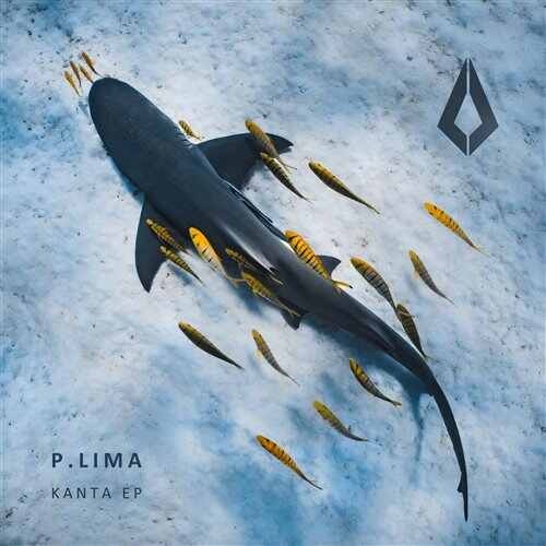 P.LIMA - Indie Paradise (Extended Mix) 