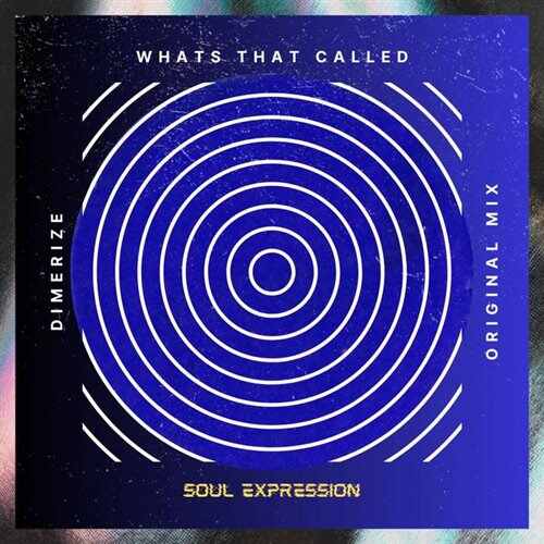 Bad Monkey - Whats That Thing Called (Extended Mix) 