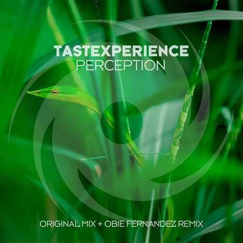 Tastexperience - Perception (Extended Mix) 