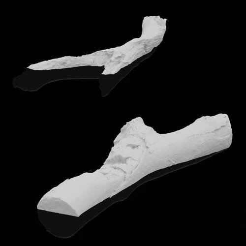 阿普的思念 - 童声合唱(大硕SuRe.L Bootleg)