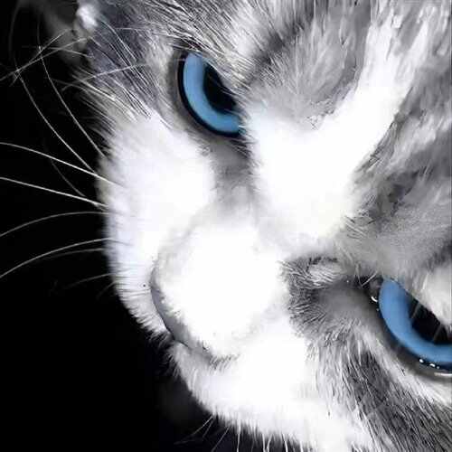 蔡健雅 - 下一次爱情来的时候 (大硕SuRe.L Bootleg)