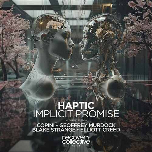 Haptic - Descent to Waking (Copini Remix) 