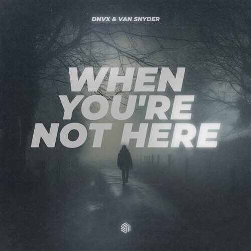 DNVX  Van Snyder - When Youre Not Here (Extended Mix) 