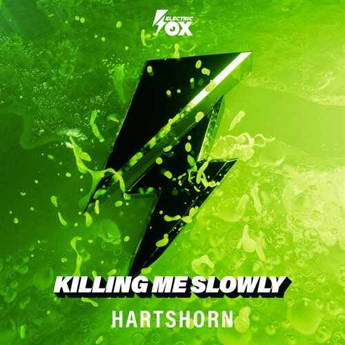 Hartshorn - Killing Me Slowly (Original Mix) 