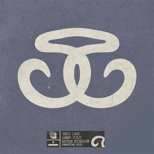 Chris Lake  Sammy Virji vs. Whitney Houston - Summertime Blues x Its Not Right (WeDamnz Mashup) 