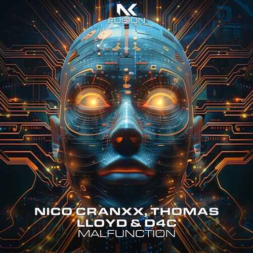 Nico Cranxx, Thomas Lloyd  D4C - Malfunction (Extended Mix) 