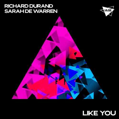 Richard Durand  Sarah de Warren - Like You (Extended Mix) 