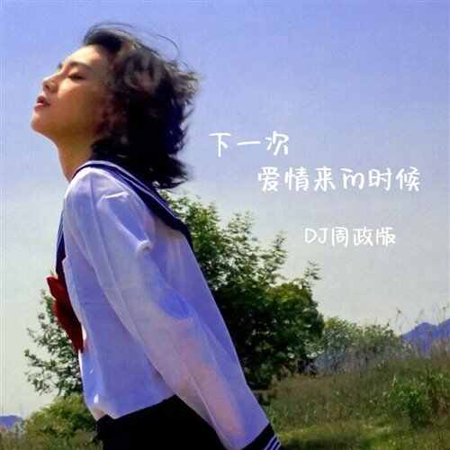 蔡健雅 - 下一次爱情来的时候(DragonX Bootleg)