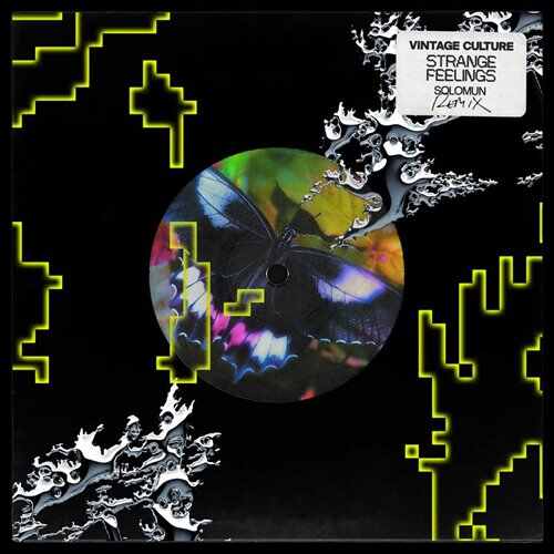 Vintage Culture - Strange Feelings (Solomun Remix) 