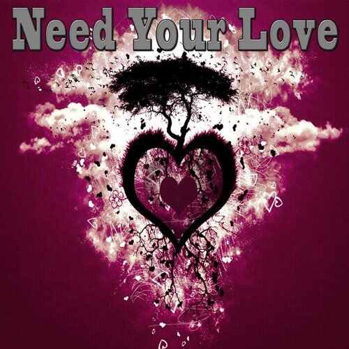 I Need Your Love - Bibo Remix