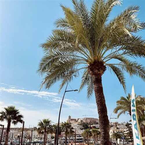 Faded Love - Phong Kon 2022 Remix