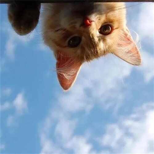 Aladin v2 (Pi Seven Remix)