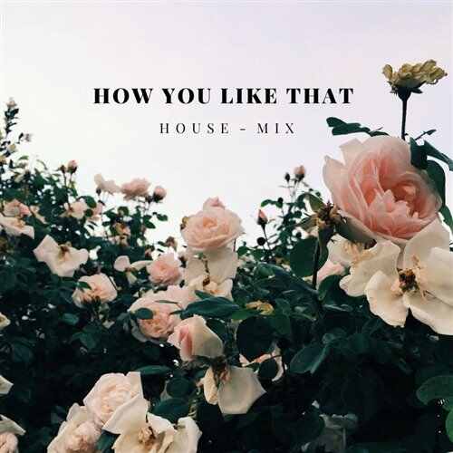 包房出品 How You Like That - Hai Minn Remix