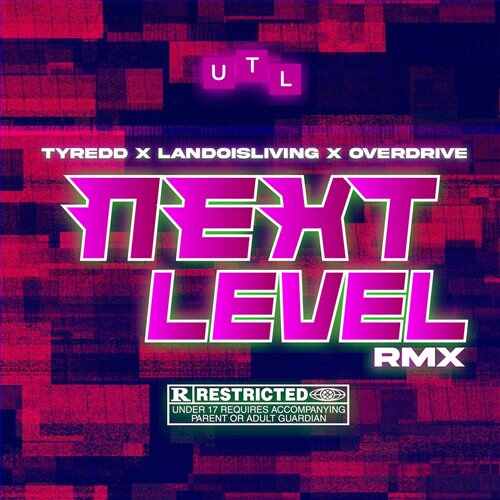 Next Level - Bibo Remix