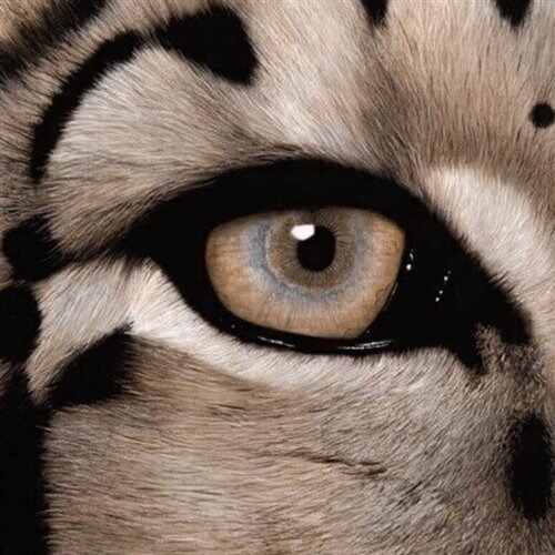 Ирина Кайратовна - Айдахар (RudometOFF Edit) 